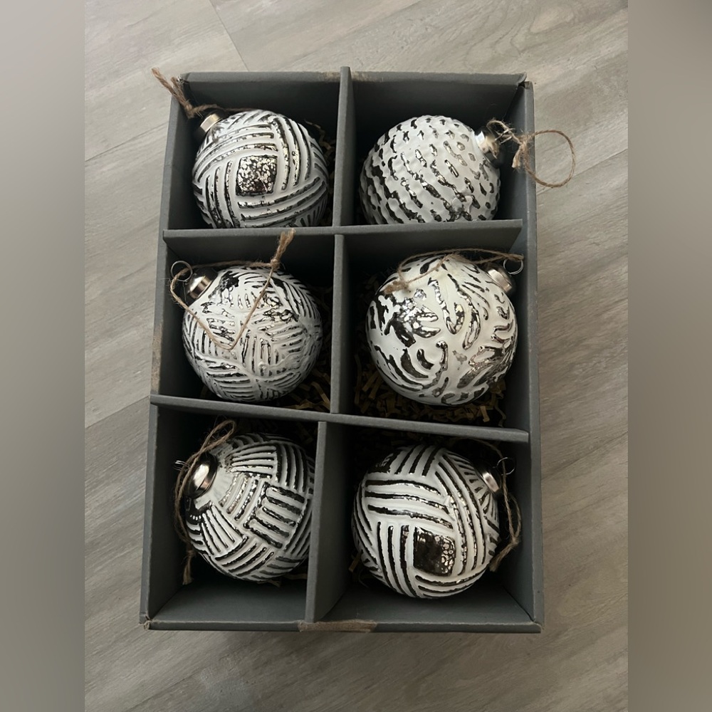 Pottery Barn Elegant Silver and White Glass Holiday Ornaments Set